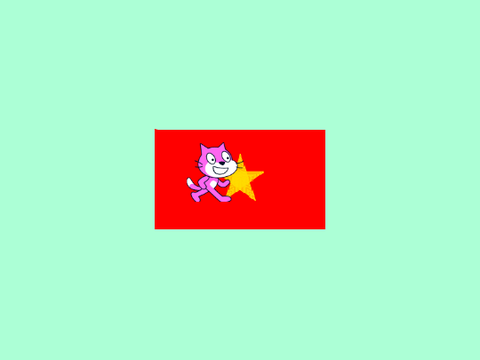Vietnam Flag