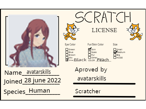 My scratch License