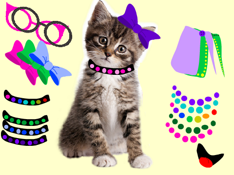 Kitten dressup