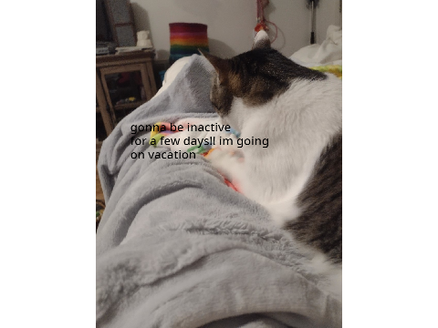 ****inactivity notice****