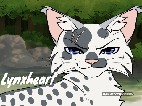 Creating my Warrior Cats OC's on Picrew