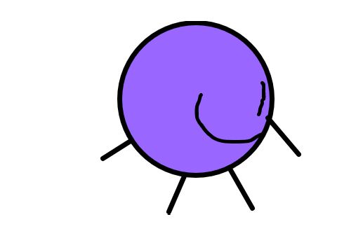 Animation Test