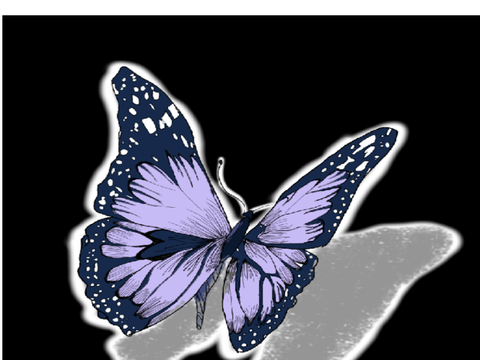 Butterfly 