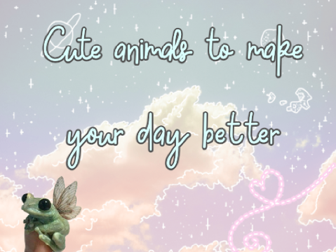 ᕱ cute animals to make your day better