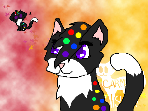 DTA cats OPEN remix