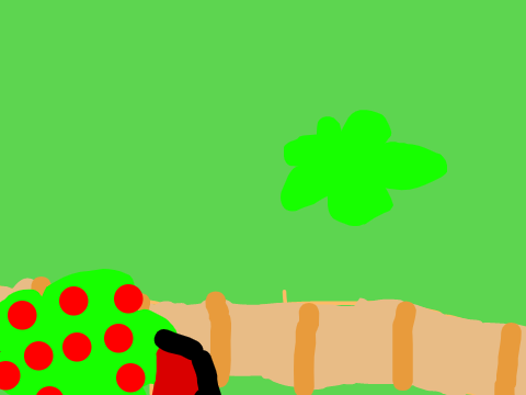 1,000 Followers: Multi-Category Contest - The Park