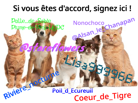 Non à l'abandon et la maltraitance des animaux ! remix remix remix remix remix remix