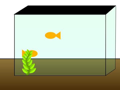 Fish tank