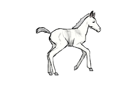 Gift for @Perky_Pony