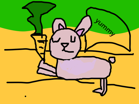 for the rabbit lover