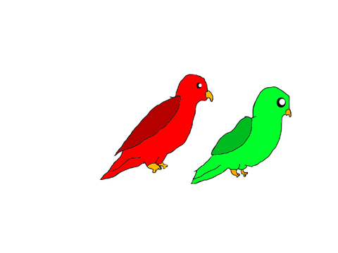 bird family