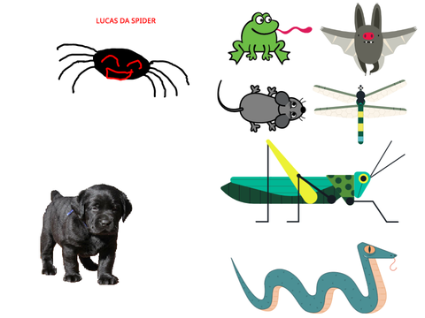 spider has been added...   - o -