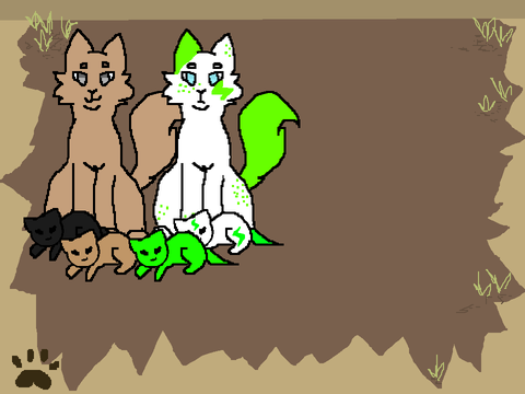 Breed Cats 2! ||  REMIX! remix