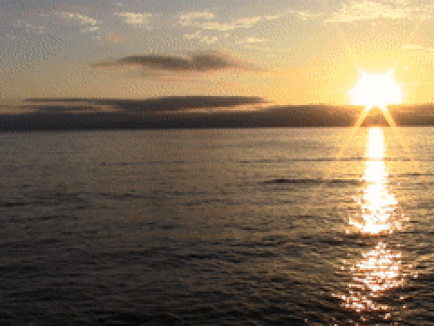 Ocean Sunset