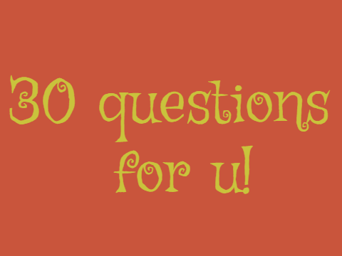30 questions for u!!!