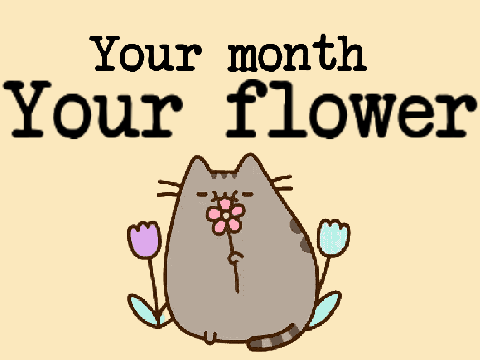 ੈ✩‧₊˚ your month-your flower ❈