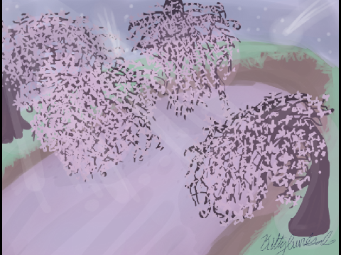 Sakura Pond (Complete)