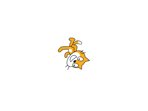 spinning cat lol
