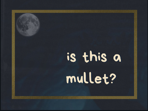 mullet?  ೃ༄