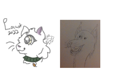 improvement