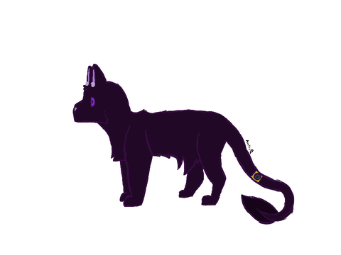 Shadow