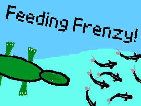 Feeding Frenzy!