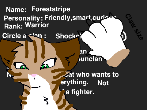 Warrior cats RPG remix