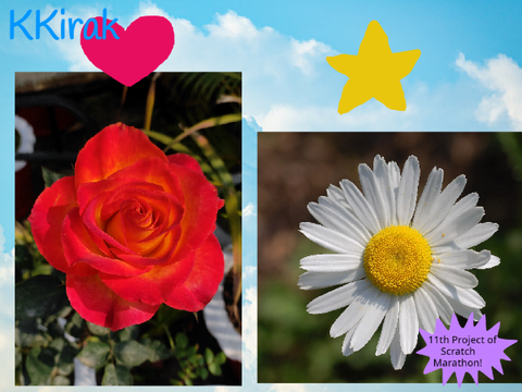 daisy or rose?~
