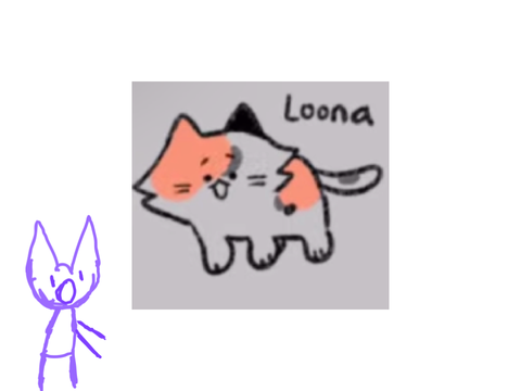Sir Fluff drew my cat