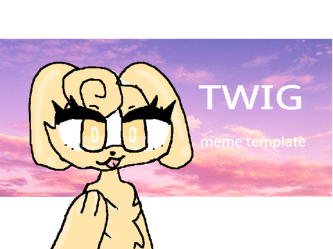 twig || memix