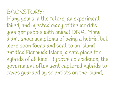 Description - Abandoned Island RP