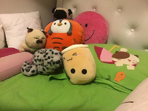 IGNORE MY BED TwT