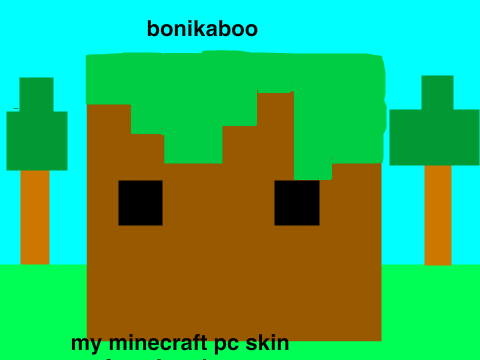 minecraft s-pc