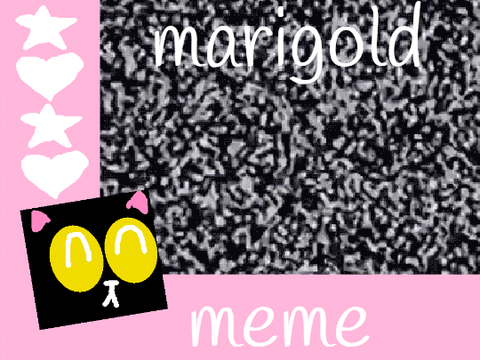 || marigold || meme || J.E. ||