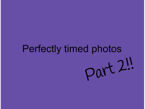 Part 2 Photos that were timed PERFECTLY