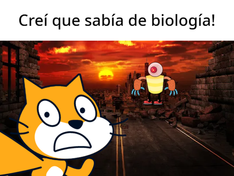 QUE HICISTE?!