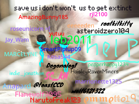 sign if you hate animal cruelty(SAVE THEM ALL!) sign if u really care