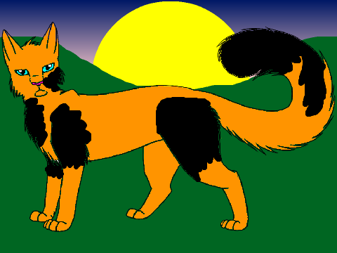free cat Lineart/CC