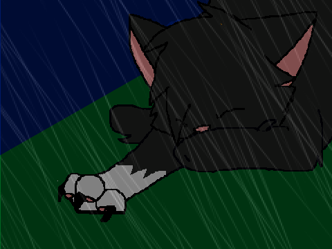 random animation