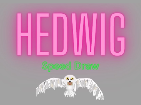 Hedwig Speed Draw