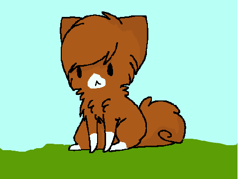 Cute cat CCE 