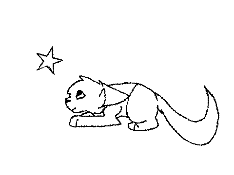 counting stars cc