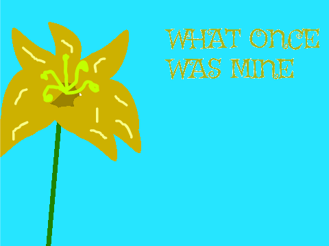 What Once was Mine cover
