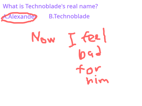 Answer about Technoblade