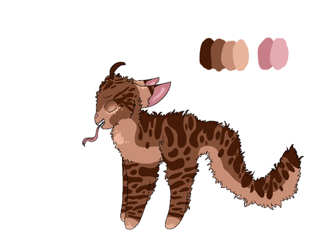 Sal with and without melanism