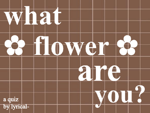 what flower are you - a quiz !
