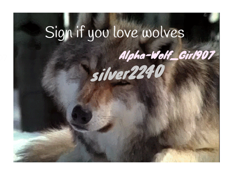 Sign if you love wolves REMIX