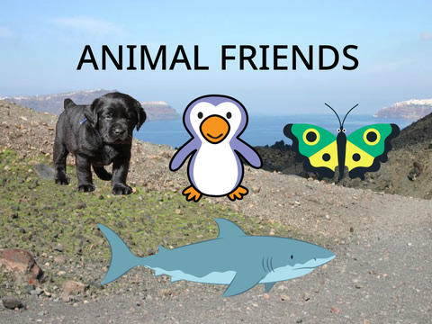 Animal Friends