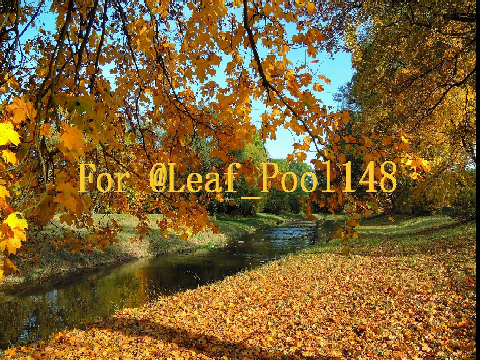 ≡;- ꒰ °For @Leaf_Pool148 ꒱