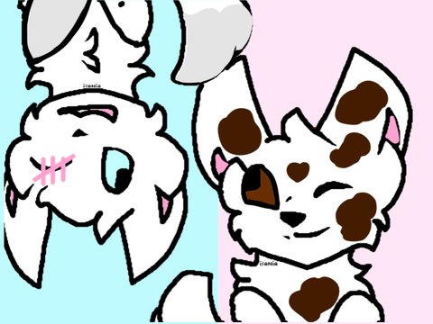 I made my bestie a warriors oc for no good reason (OLD)